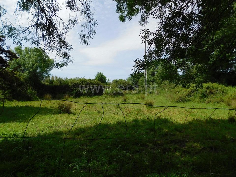 Tomt i Fundao, Castelo Branco - bilde 4