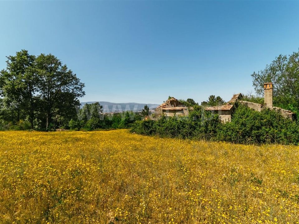 Tomt i Fundao, Castelo Branco - bilde 3