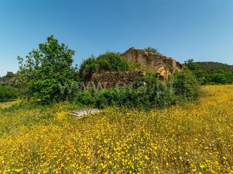 Tomt i Fundao, Castelo Branco - bilde 4
