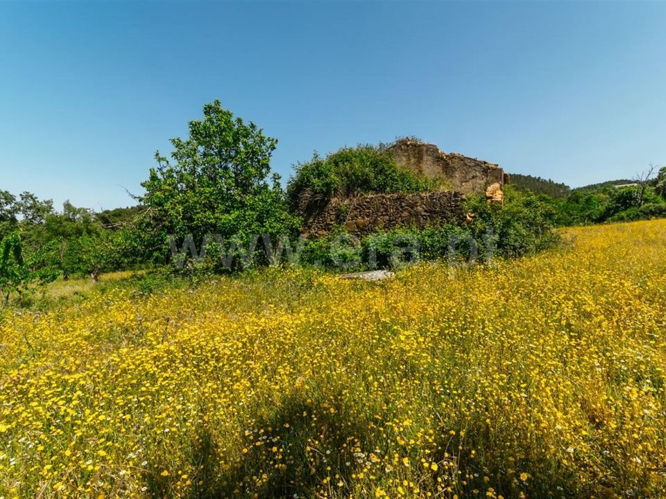Tomt i Fundao, Castelo Branco - bilde 5
