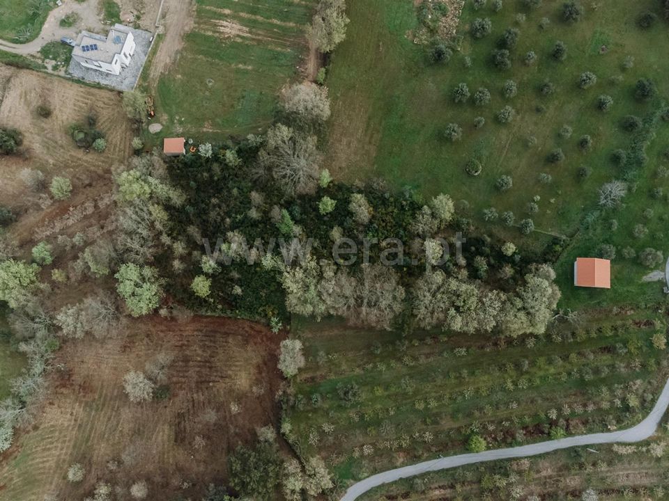Tomt i Fundao, Castelo Branco - bilde 1