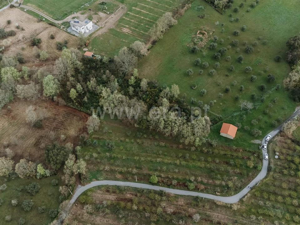 Tomt i Fundao, Castelo Branco - bilde 3