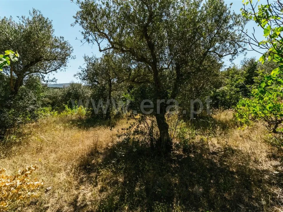 Helårsgrund i Fundao, Castelo Branco - foto 2
