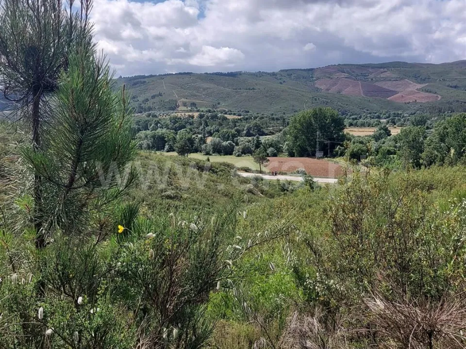 Helårsgrund i Covilha, Castelo Branco - foto 1