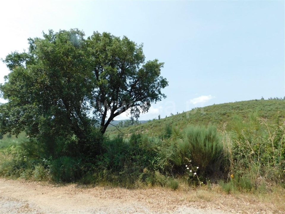 Helårsgrund i Covilha, Castelo Branco - foto 5
