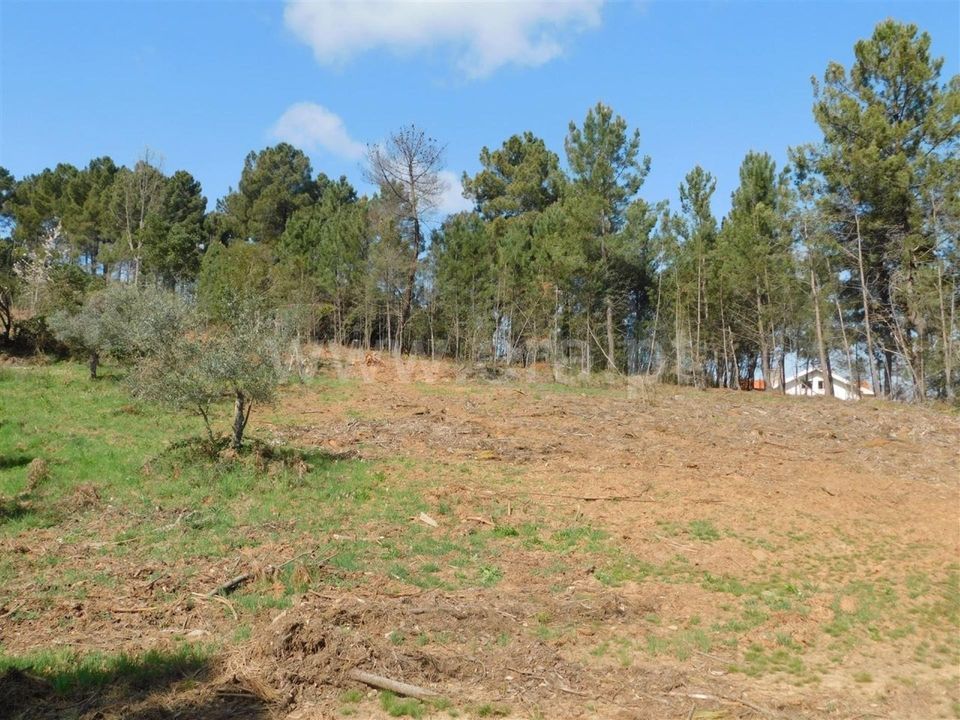 Helårsgrund i Fundao, Castelo Branco - foto 1
