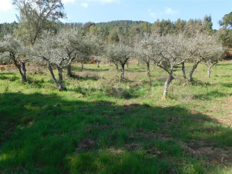 Helårsgrund i Fundao, Castelo Branco - foto 2