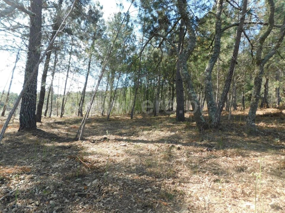 Helårsgrund i Fundao, Castelo Branco - foto 5