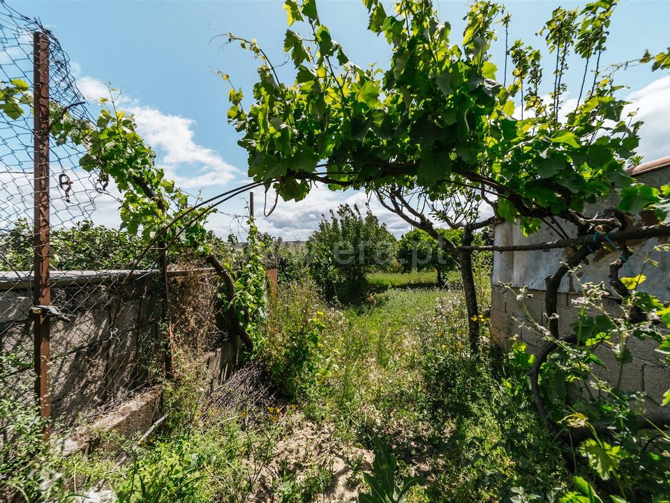 Helårsgrund i Fundao, Castelo Branco - foto 4