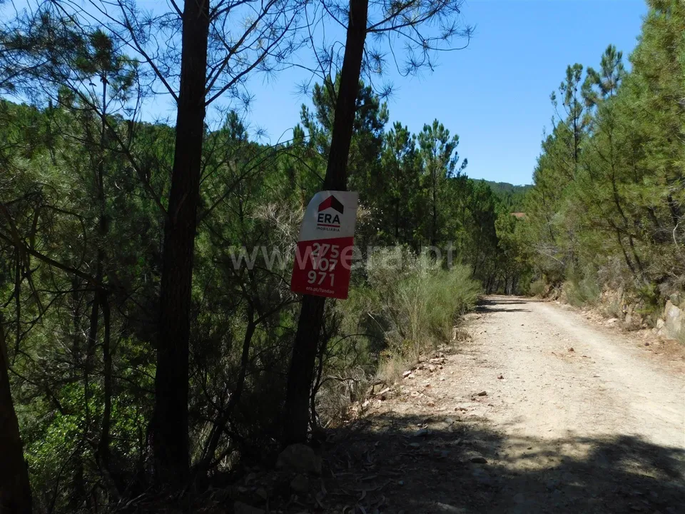 Helårsgrund i Fundao, Castelo Branco - foto 2