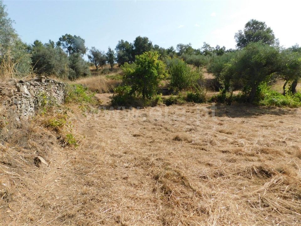 Tomt i Fundao, Castelo Branco - bilde 3
