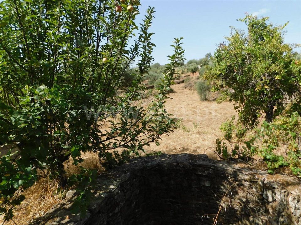 Tomt i Fundao, Castelo Branco - bilde 4
