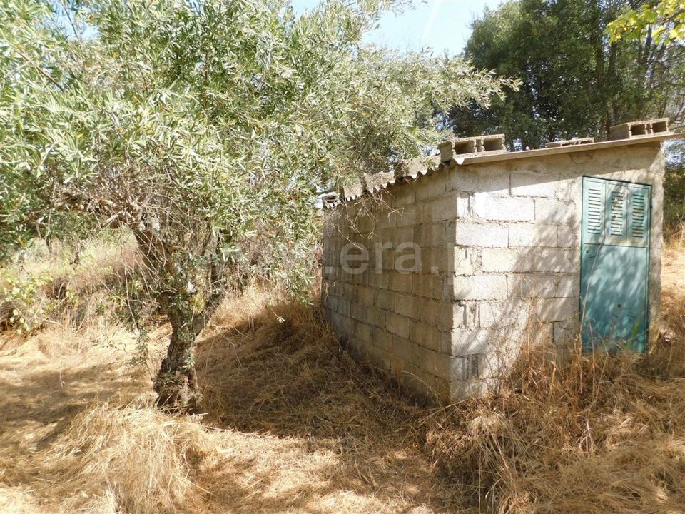 Tomt i Fundao, Castelo Branco - bilde 5