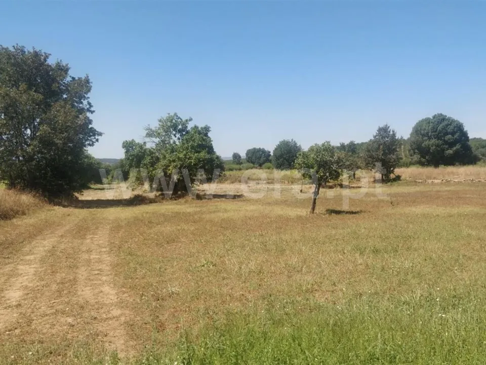 Tomt i Fundao, Castelo Branco - bilde 2