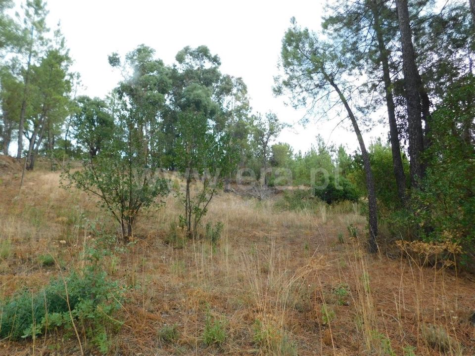 Tomt i Fundao, Castelo Branco - bilde 2