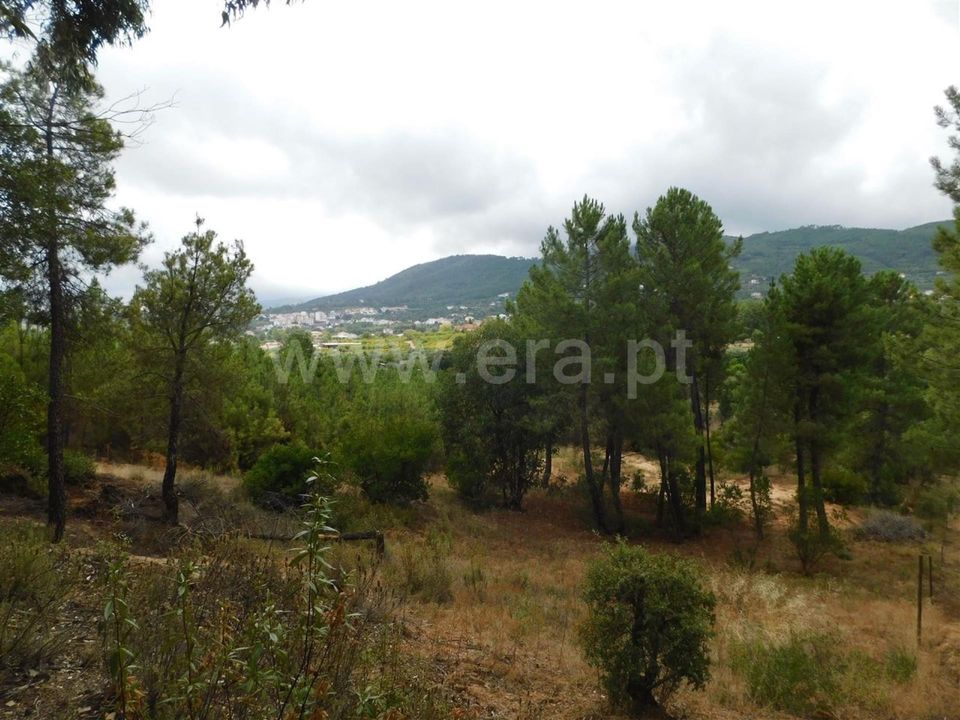 Tomt i Fundao, Castelo Branco - bilde 4