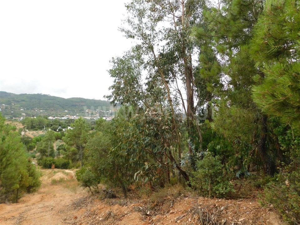 Tomt i Fundao, Castelo Branco - bilde 5