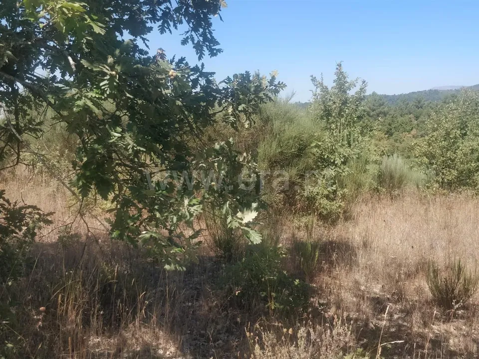 Helårsgrund i Fundao, Castelo Branco - foto 1