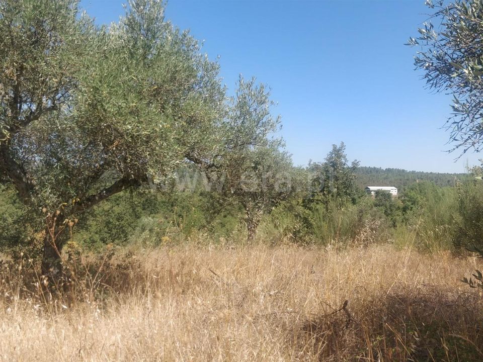 Helårsgrund i Fundao, Castelo Branco - foto 2