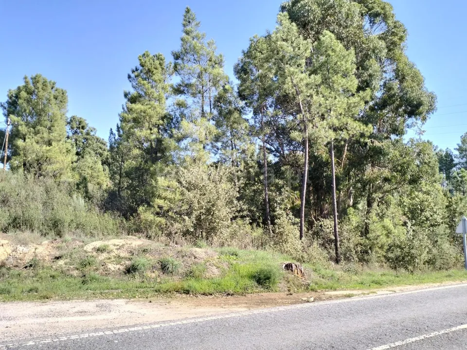 Helårsgrund i Fundao, Castelo Branco - foto 1