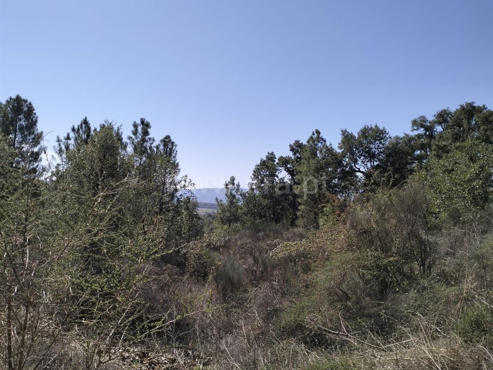 Helårsgrund i Fundao, Castelo Branco - foto 5
