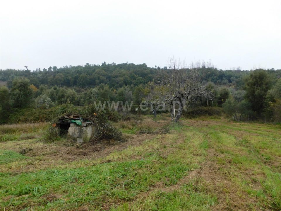 Tomt i Fundao, Castelo Branco - bilde 1