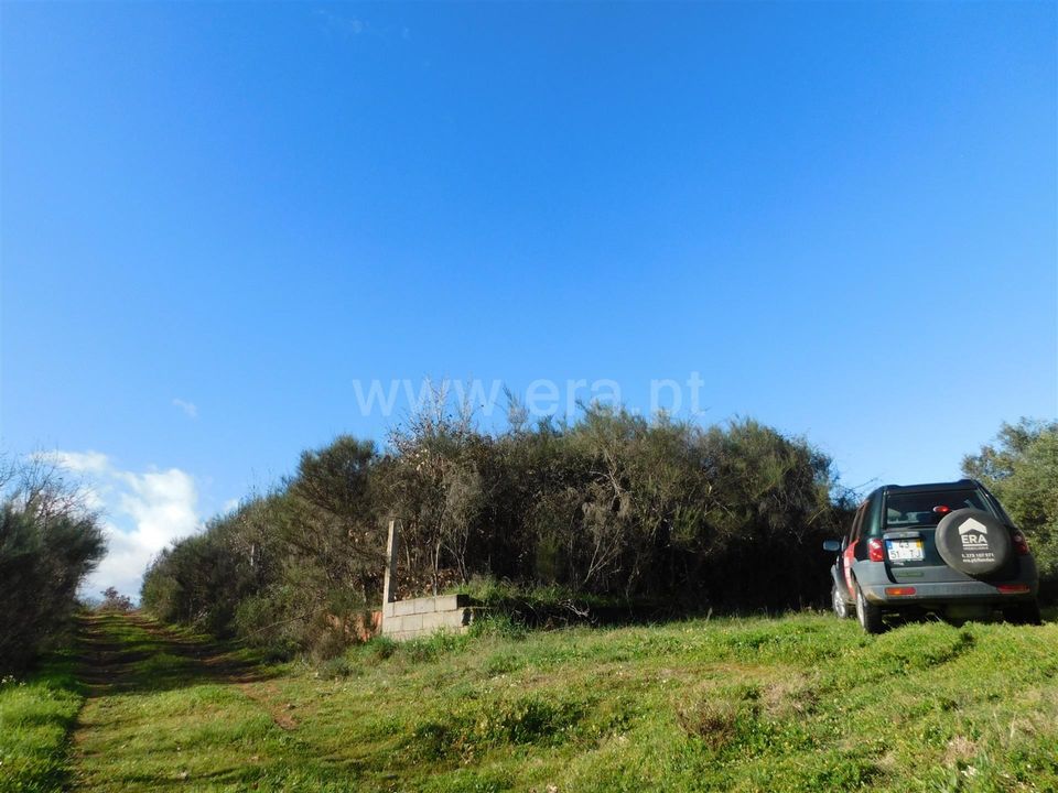 Tomt i Fundao, Castelo Branco - bilde 2