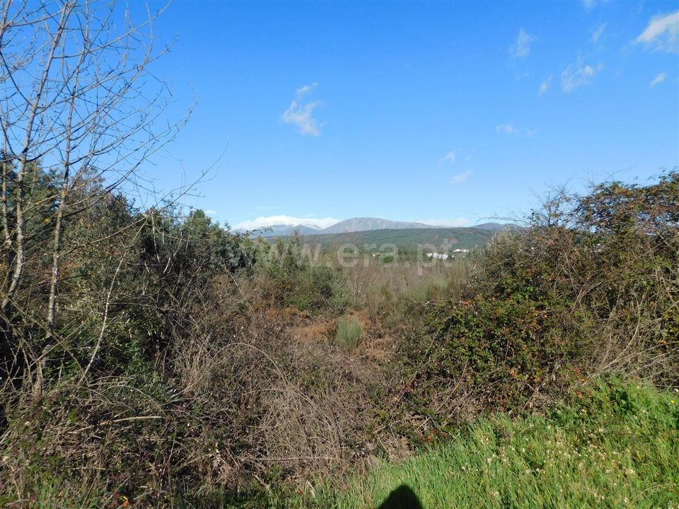 Tomt i Fundao, Castelo Branco - bilde 5