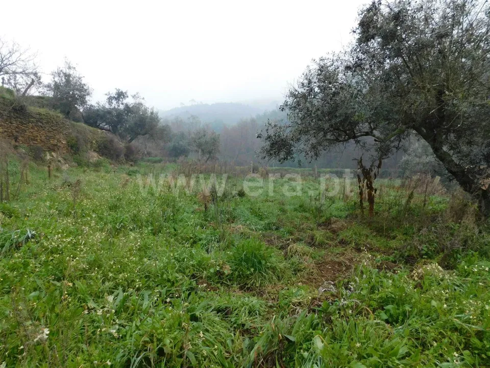 Helårsgrund i Fundao, Castelo Branco - foto 1