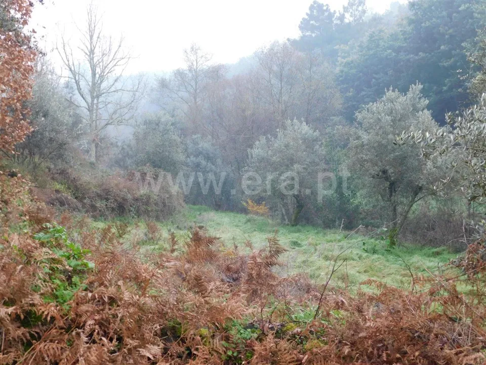 Helårsgrund i Fundao, Castelo Branco - foto 2