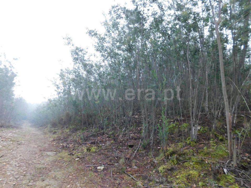 Helårsgrund i Fundao, Castelo Branco - foto 1
