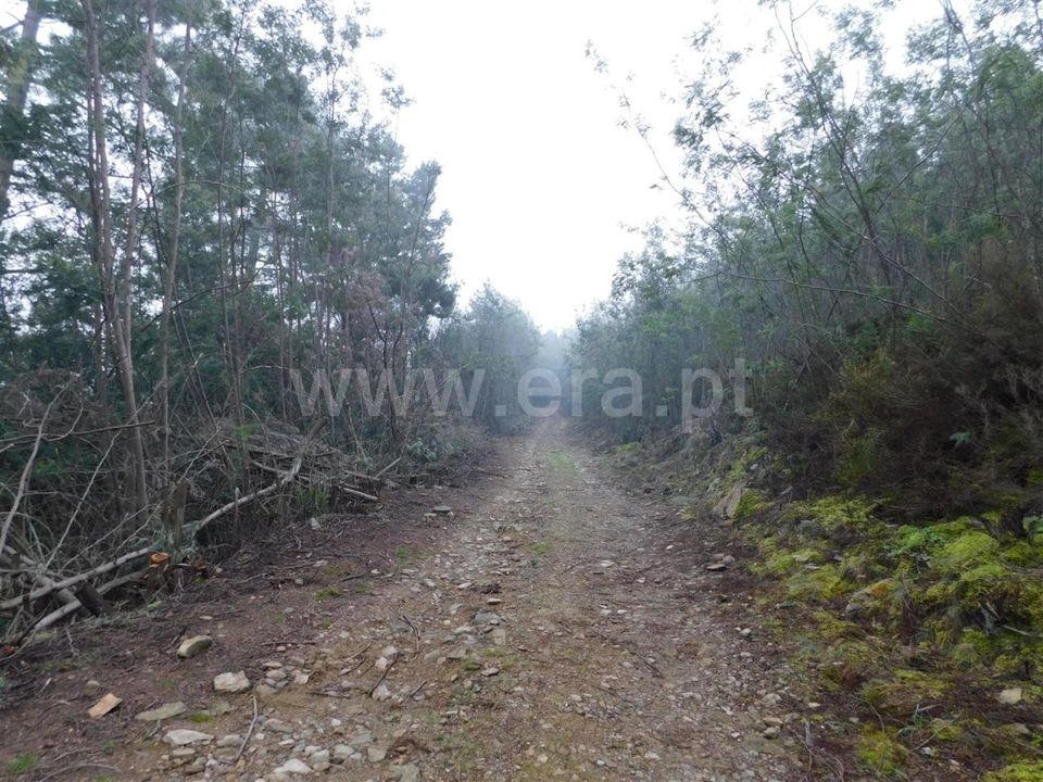 Helårsgrund i Fundao, Castelo Branco - foto 4
