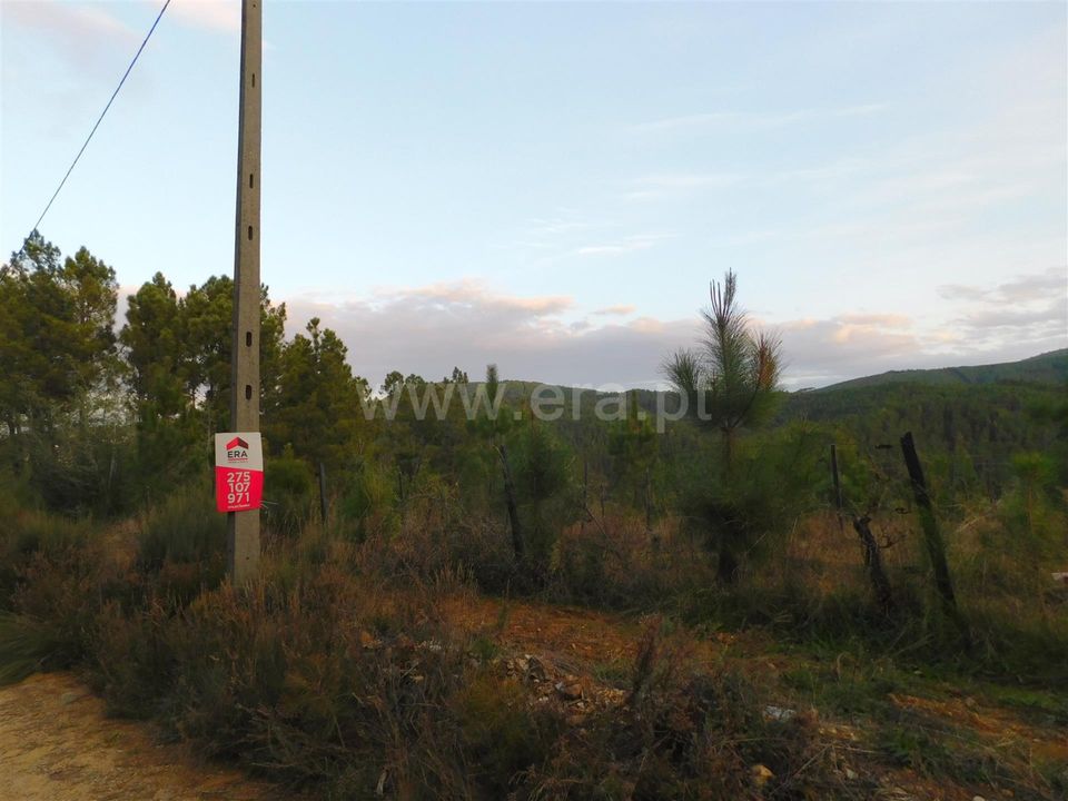 Tomt i Fundao, Castelo Branco - bilde 1