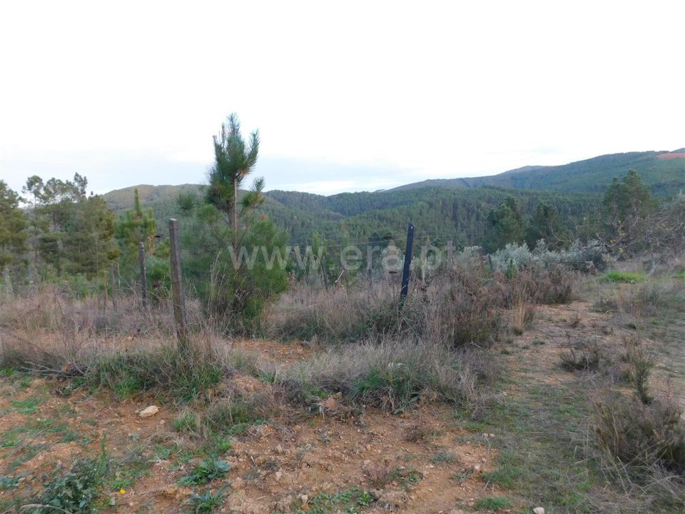 Tomt i Fundao, Castelo Branco - bilde 2
