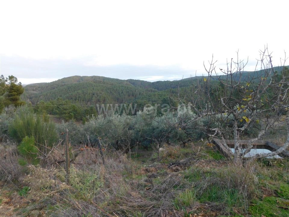 Tomt i Fundao, Castelo Branco - bilde 4