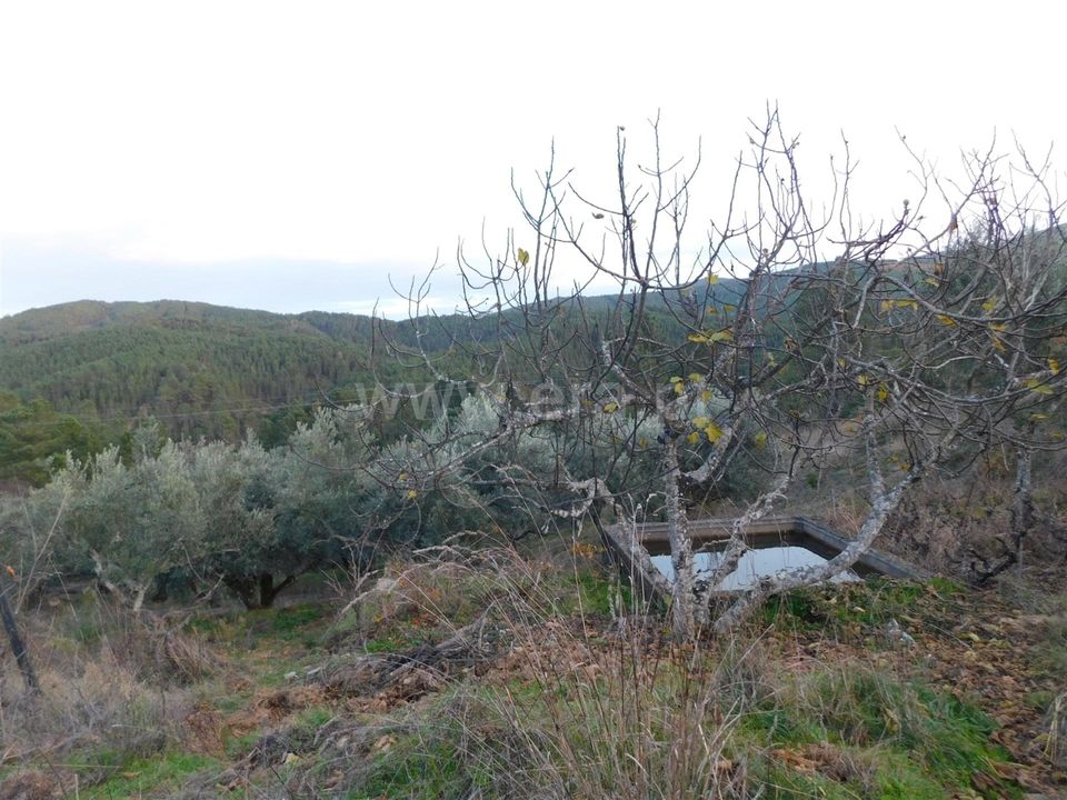 Tomt i Fundao, Castelo Branco - bilde 5
