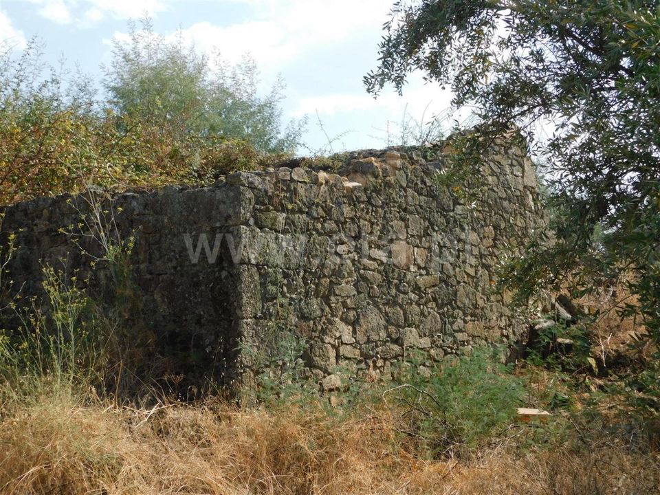 Landejendom i Fundao, Castelo Branco - foto 1
