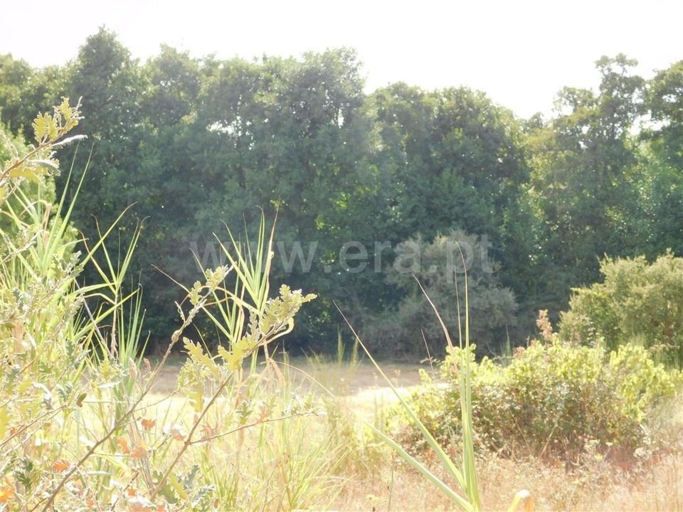 Landejendom i Fundao, Castelo Branco - foto 4