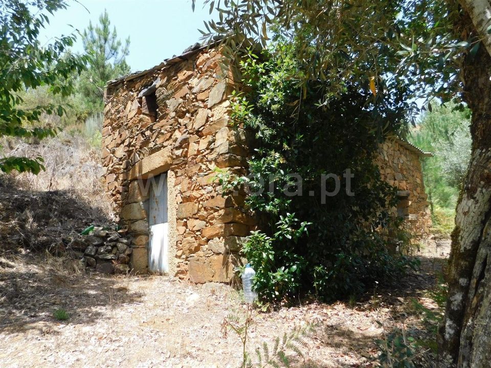 Farm i Fundao, Castelo Branco - foto 1