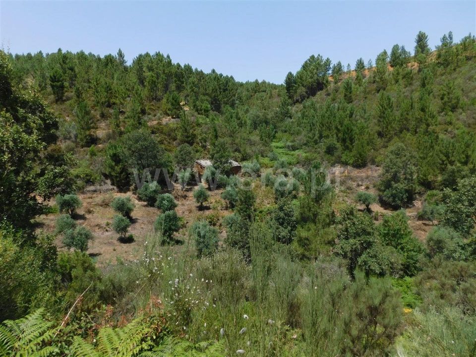 Farm i Fundao, Castelo Branco - foto 2