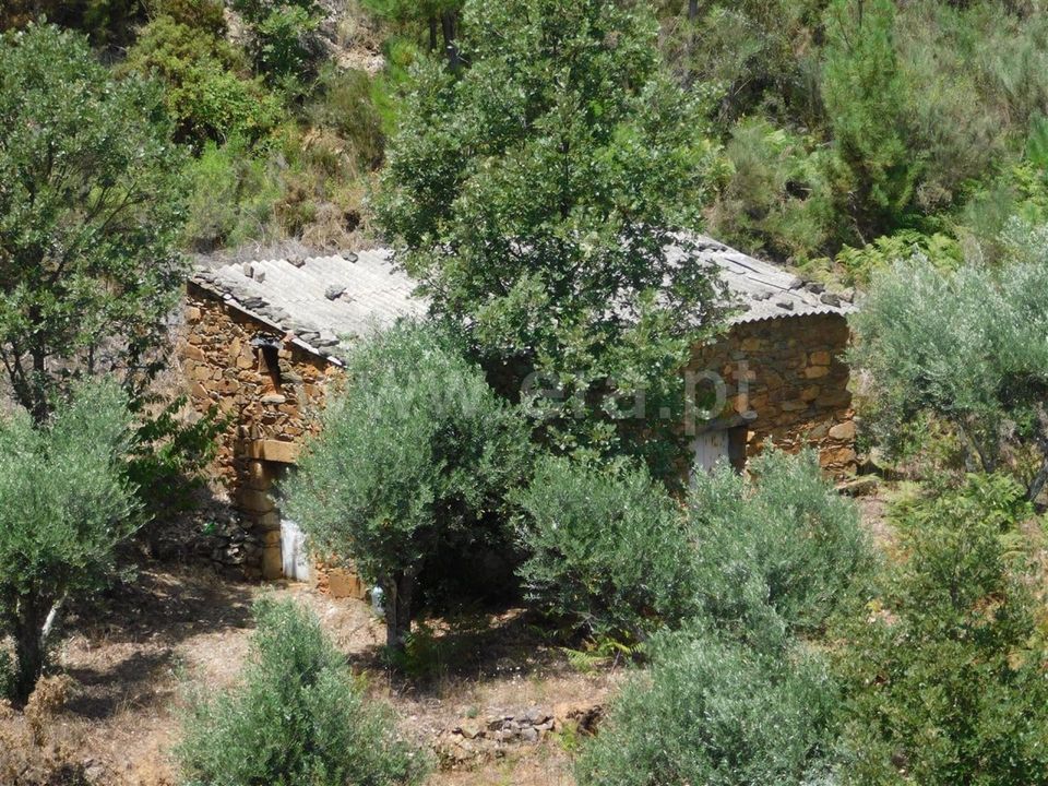 Farm i Fundao, Castelo Branco - foto 3
