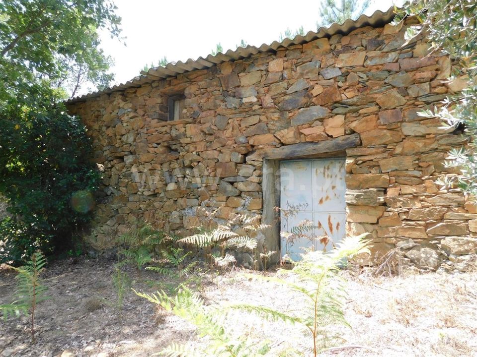 Farm i Fundao, Castelo Branco - foto 4