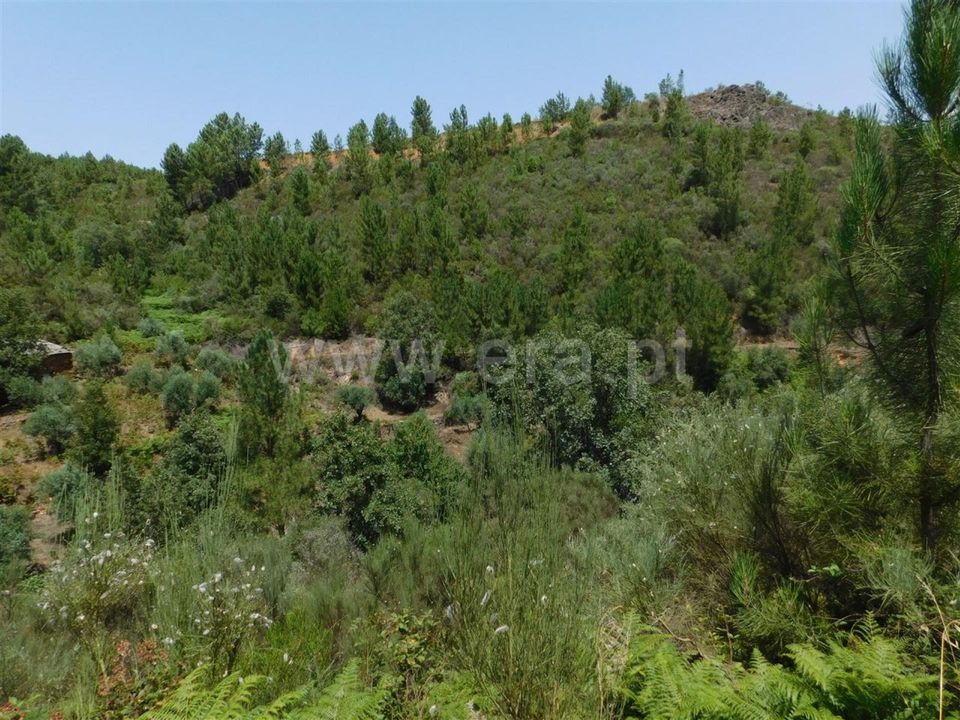 Farm i Fundao, Castelo Branco - foto 5