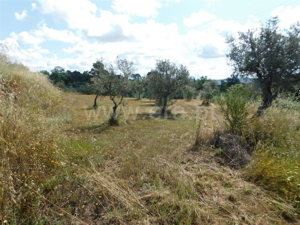 Helårsgrund i Fundao, Castelo Branco - foto 2
