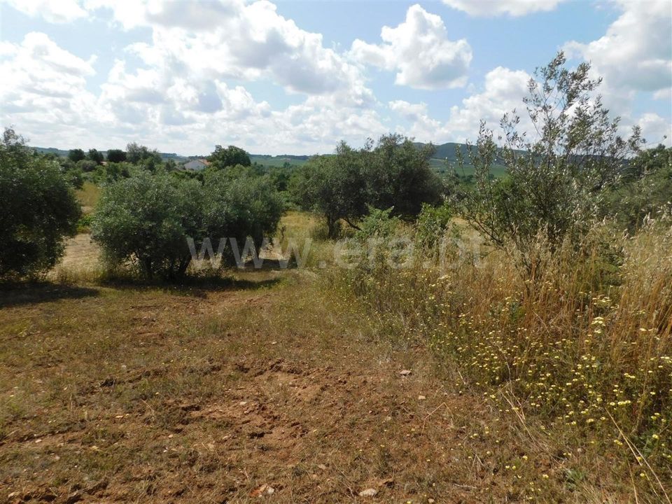 Helårsgrund i Fundao, Castelo Branco - foto 5