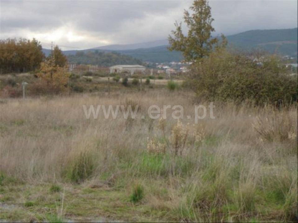 Tomt i Fundao, Castelo Branco - bilde 1