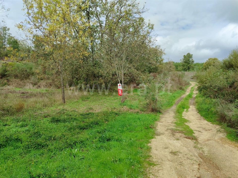 Helårsgrund i Fundao, Castelo Branco - foto 1