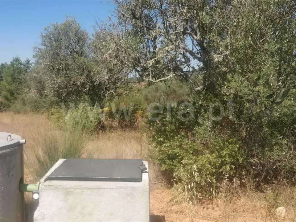 Helårsgrund i Fundao, Castelo Branco - foto 2