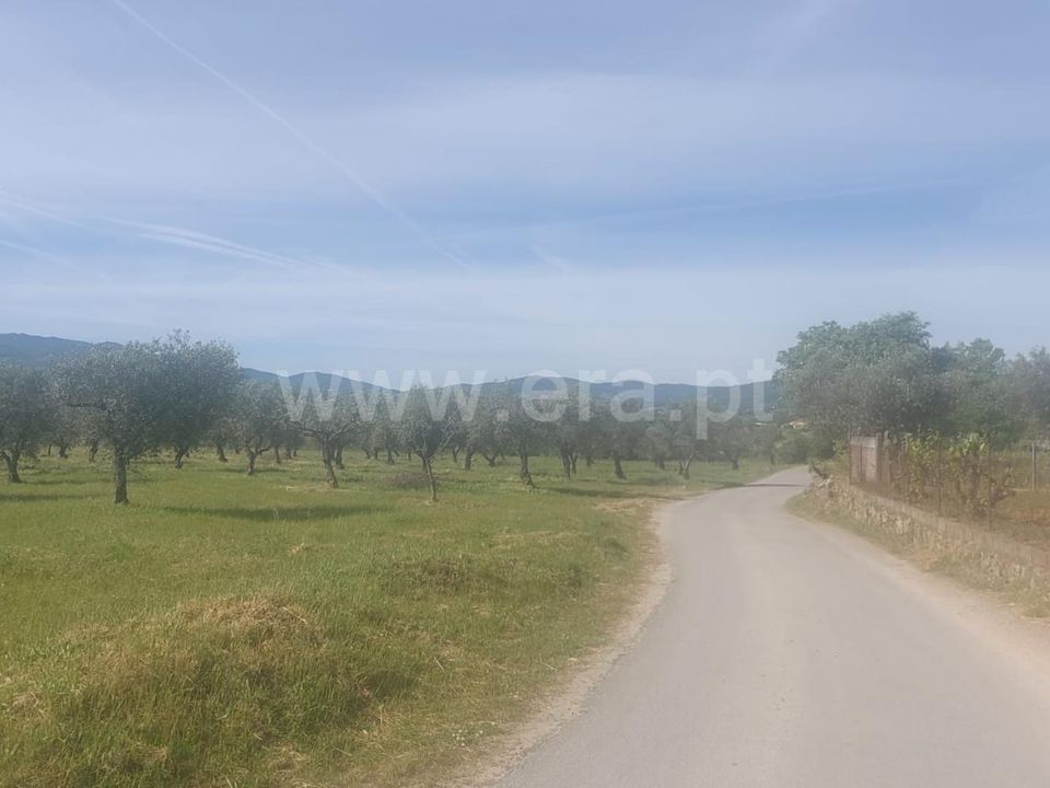 Tomt i Fundao, Castelo Branco - bilde 1
