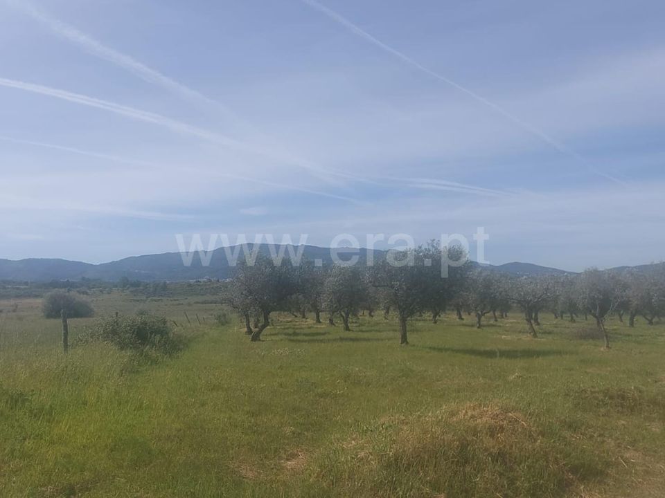 Tomt i Fundao, Castelo Branco - bilde 2